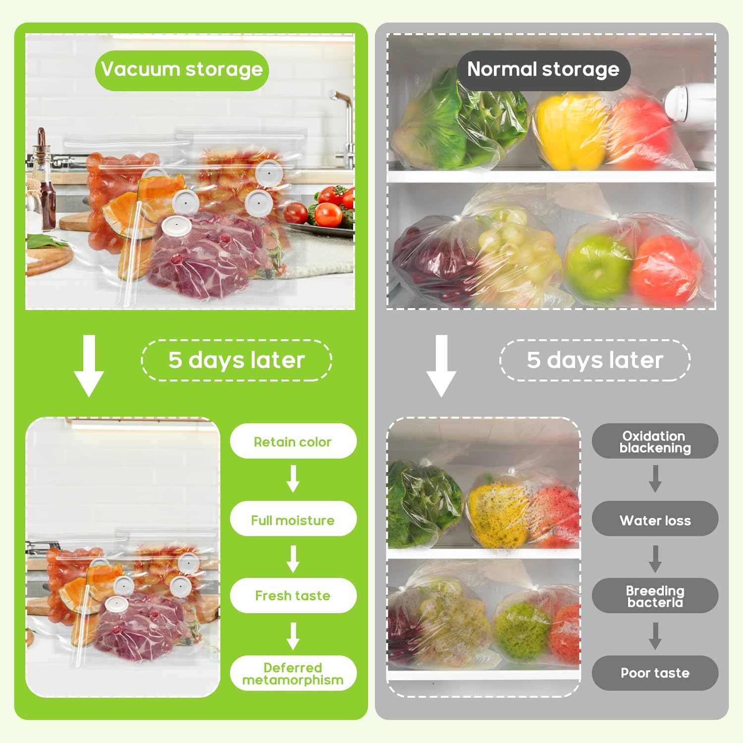 Mesin Penyegel Vakum Genggam d - Food Vacuum Sealer Machine ulasan dan harga